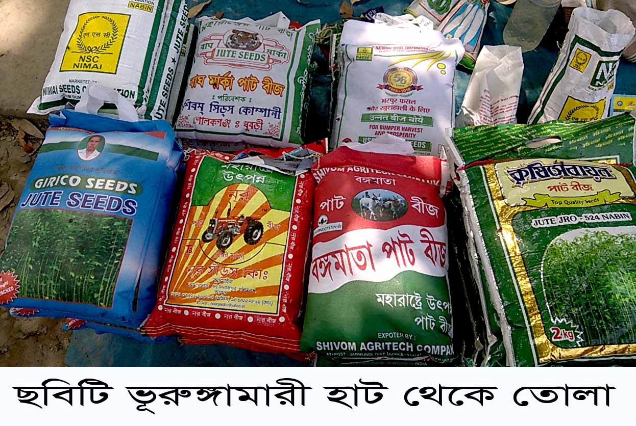 নিম্ন মানের ভারতীয় পাট বীজে সয়লাব ভূরুঙ্গামারীর বাজারঃ প্রতারিত হচ্ছে কৃষক