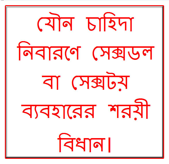 যৌন চাহিদা নিবারণে সেক্সডল বা সেক্সটয় ব্যবহারের শরয়ী বিধান