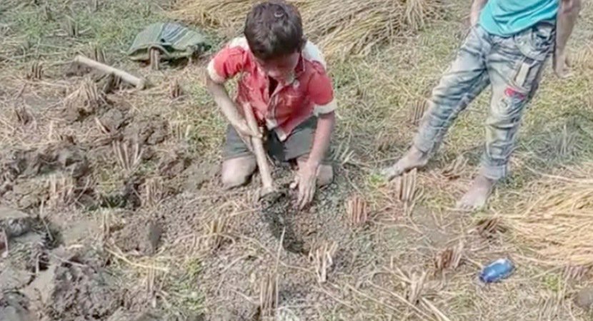ইঁদুরের ধান বেচে শীতের পোশাক