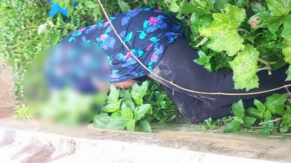 ভুরুঙ্গামারীতে নিখোঁজের তিনদিন পর নারীর মরদেহ উদ্ধার