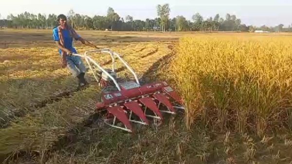 ভুরুঙ্গামারীতে কৃষি কাজে প্রযুক্তির ছোঁয়া